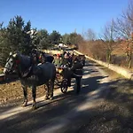Nad Zalewem -pensjonat, Dzibice