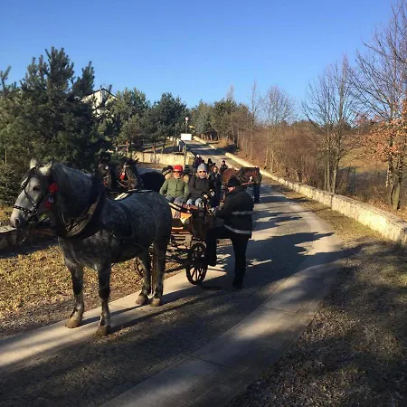 Nad Zalewem -pensjonat, Dzibice