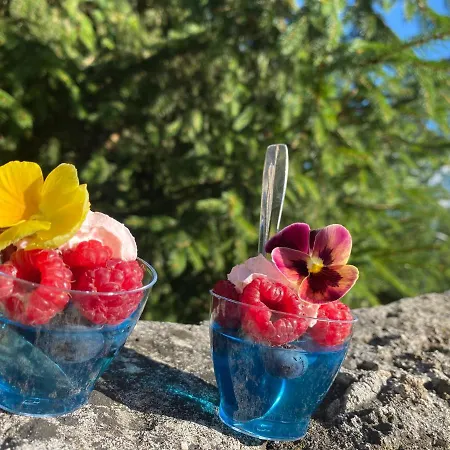 Nad Zalewem -pensjonat, Maison d'hôtes 3*