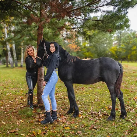 Nad Zalewem -pensjonat, בית הארחה 3*