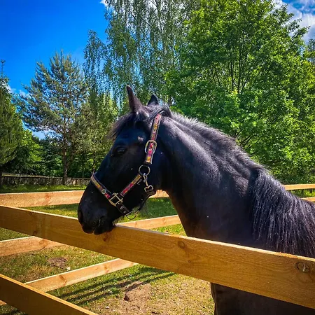 Gasthuis Nad Zalewem -pensjonat, Dzibice