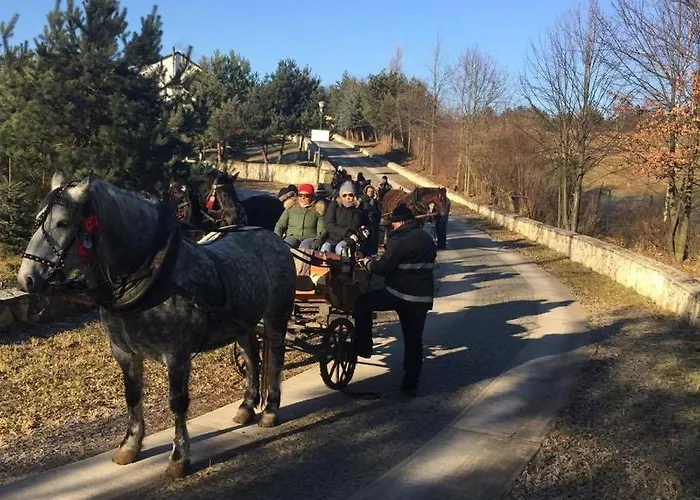Nad Zalewem -pensjonat, Dzibice