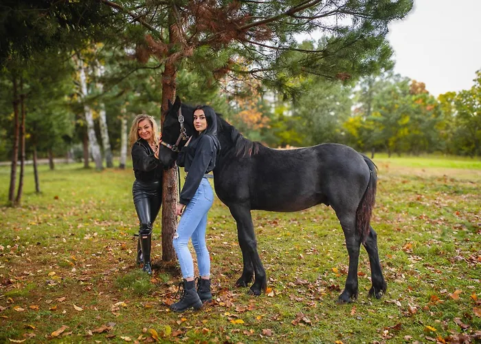 Nad Zalewem -pensjonat, 게스트하우스 3*